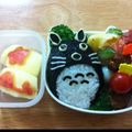 youco0621's cooksnap of when they made キャラ弁*簡単♪トトロのおにぎり弁当.