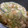 specialcat's cooksnap of when they made こってり★コク旨★でも節約【鶏皮スープ】.
