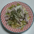 オリオバナ's cooksnap of when they made ネギたっぷり！冷しゃぶ仕立ての冷やし中華.