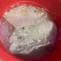 ふぁんころ's cooksnap of when they made 圧力鍋で5分〜美味！ぶりあらの塩麹煮.