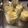 nobico2007's cooksnap of when they made フライパンで★とろりと簡単なめらかプリン.