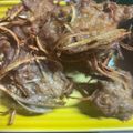 クックOBSDVC☆'s cooksnap of when they made 豚こまとごぼうのから揚げ.