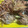 クックOBSDVC☆'s cooksnap of when they made 豚こまとごぼうのから揚げ.