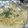 ﾊｯﾋﾟｰJAM's cooksnap of when they made きのことじゃが芋のホイル焼き.