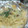 ﾊｯﾋﾟｰJAM's cooksnap of when they made きのことじゃが芋のホイル焼き.