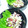 らすぷー's cooksnap of when they made タコとねぎの元気炒め.