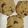 ふたっこママ's cooksnap of when they made わかったさんのロッククッキー.