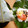 切干大根大好き's cooksnap of when they made ほうば寿司.