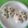 kururin18's cooksnap of when they made ＊幸福を呼ぶクローバーおにぎり＊.