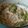 たかしょSE's cooksnap of when they made そら豆の白和え.