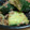 りえＰｓｋｙ's cooksnap of when they made さっぱり！きゅうりの梅おかかあえ.