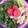 rem★'s cooksnap of when they made たれがおいしい棒々鶏.
