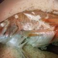 ゆきちむルシェル's cooksnap of when they made 松山名物☆鯛飯.