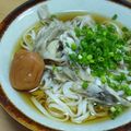 のほぽんりゅう's cooksnap of when they made さっぱりおうどん！.