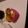 mikatan♪'s cooksnap of when they made クリスマスフルーツケーキカップ.