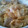milmo1205's cooksnap of when they made 鶏肉と新玉ねぎ☆塩だれ親子炒め.