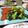 takowasa's cooksnap of when they made 焼き野菜.