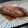 rereren's cooksnap of when they made ★簡単★ブリの照り焼き.