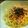 yuka.y's cooksnap of when they made レモンパスタ.