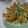 megumori's cooksnap of when they made うまし！浜松風なうちの餃子.