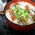 ★プッシーｷｬｯﾄ★'s cooksnap of when they made 超さっぱり！梅干しともずくの汁そば.
