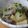 もんしろ's cooksnap of when they made 牛スジ大根のこっくり煮.
