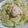 Andy♪'s cooksnap of when they made QPごまドレッシングのサラダうどん.