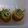 NOAPOO's cooksnap of when they made お弁当！ちくわのチーズしそ巻き♪.
