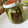 pccoi's cooksnap of when they made 簡単！きゅうりのピクルス.
