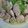 サッちん's cooksnap of when they made ＊鶏のネギ塩炒め＊.