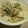 さぁ★たぁ★'s cooksnap of when they made 豆乳ごま味噌鍋の出汁.
