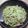 たくちくた's cooksnap of when they made バジルとベーコンのスパゲッティー.