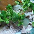 當山真梨's cooksnap of when they made 豚肉とミョウガ、カイワレの酢味噌和え.