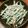 あいぱらりん's cooksnap of when they made いんげんのささっと和え♪おかかマヨ味.