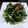 fuwamocos's cooksnap of when they made ニラとじゃこの黒胡椒和え.