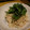 ともんちっち's cooksnap of when they made 大根とツナのオイマヨサラダ.