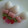 レインボーママ♪'s cooksnap of when they made お弁当に✿枝豆とうずら卵とハムの串.