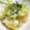 ♡♥♡たんちゅ♡♥♡'s cooksnap of when they made ♡☆ささみと三つ葉のわさポン醤油和え.