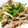 pyonpoco's cooksnap of when they made 簡単！ぽんずde炒め.