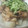 毎日おかあちゃん's cooksnap of when they made 冷製中華ふろふき大根（上海編）.