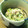★☆HK☆★'s cooksnap of when they made ☆苦くない!!ゴーヤとツナの和え物☆.