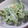 こずっぺ's cooksnap of when they made ★小さなおかず！ピーマンのごまマヨ味噌★.