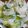 runinchef's cooksnap of when they made きゅうりとじゃがいものわさびサラダ.