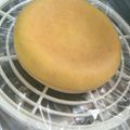 ＊ｓａｎａｈｉｍｅ＊'s cooksnap of when they made 炊飯器でシフォン風スポンジケーキ.