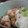 ぽんぺん's cooksnap of when they made 里芋の揚げ浸し.
