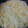 やま22's cooksnap of when they made *キャベツの卵とじ*.