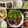 ☆あさ's cooksnap of when they made しいたけ焼いただけ∵ゞ(≧ω≦ｏ)ぶ.