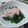 Ｆ☆みぃ's cooksnap of when they made ほうれん草の梅マヨ.