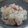 ネコメルモ's cooksnap of when they made イカの炊き込みご飯.