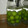 トモスケ's cooksnap of when they made ちょっと甘めの梅酒.